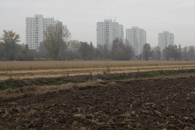 © Riccardo Tarantola, 2011, Milano, Cascine a Milano