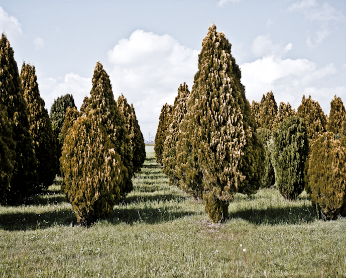 © Andrea Kunkl, 2012, Milano, Incendio grigio