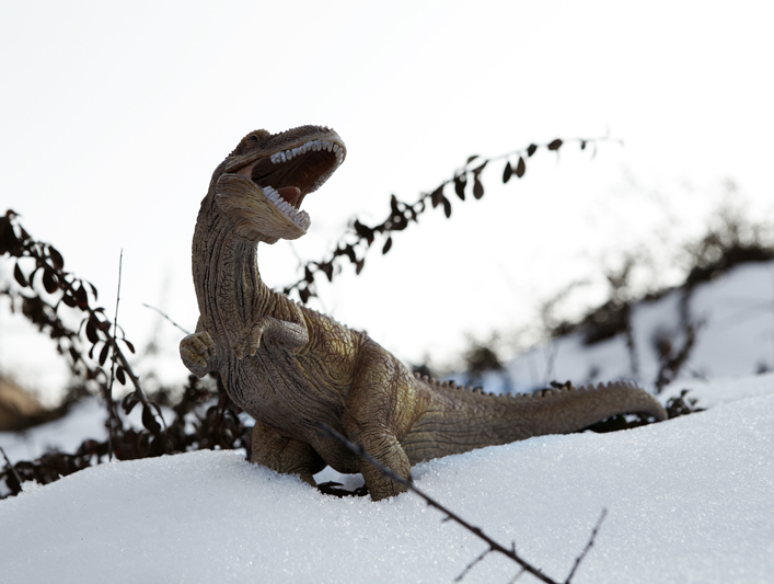 © Brando Cimarosti, Sulle tracce del T-rex, Krìsis, Milano, 2013