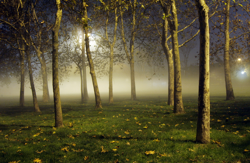 © Daniele Faverzani, 2006-2009, Milano, Parco di Trenno.