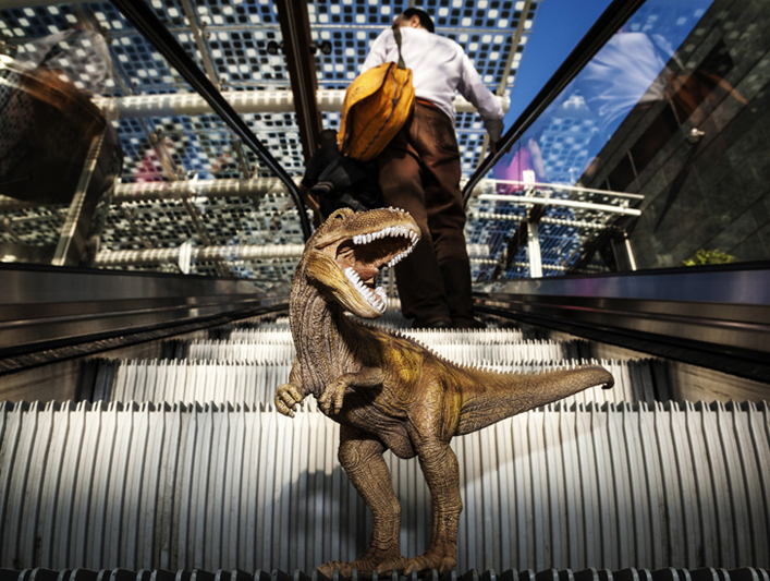 © Brando Cimarosti, Sulle tracce del T-rex, Krìsis, Milano, 2013