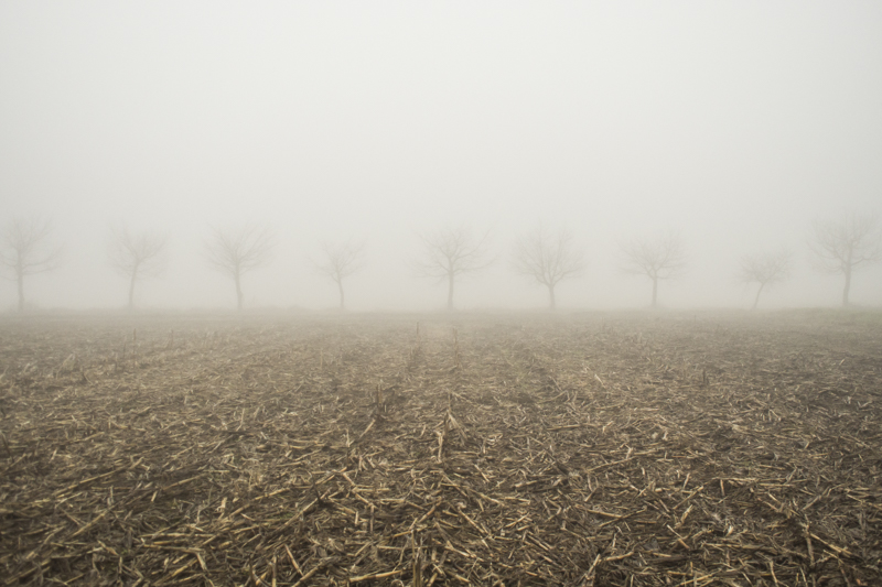 © Matteo Scarpellini, Gradients, Milano 2013