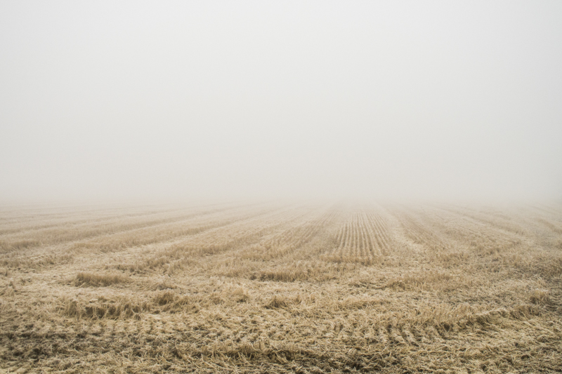 © Matteo Scarpellini, Gradients, Milano 2013