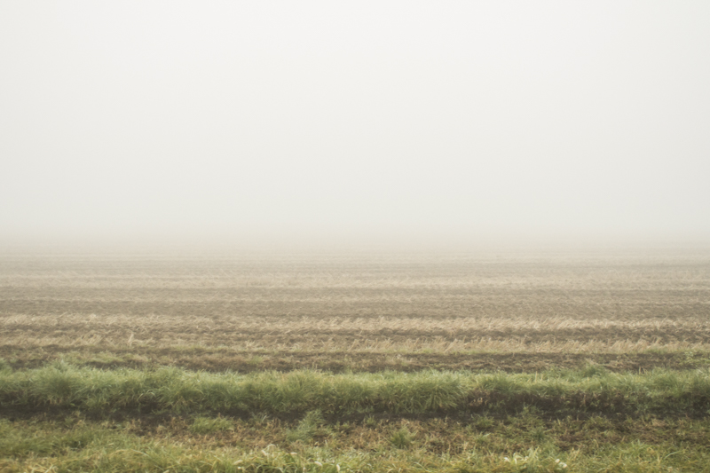 © Matteo Scarpellini, Gradients, Milano 2013