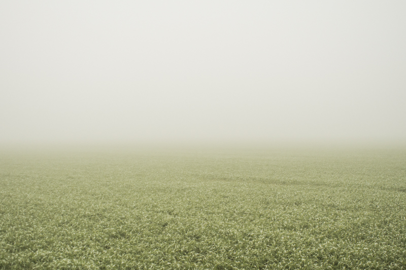 © Matteo Scarpellini, Gradients, Milano 2013